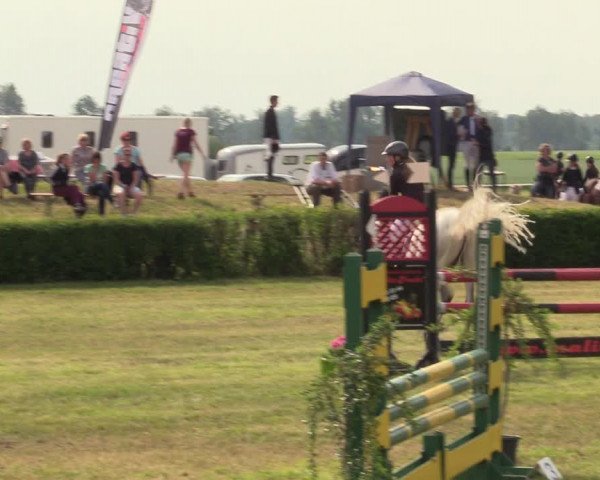 Reitturnier Wustrow 2019