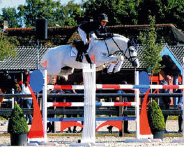 stallion Clicksem (Holsteiner, 2002, from Cardino)