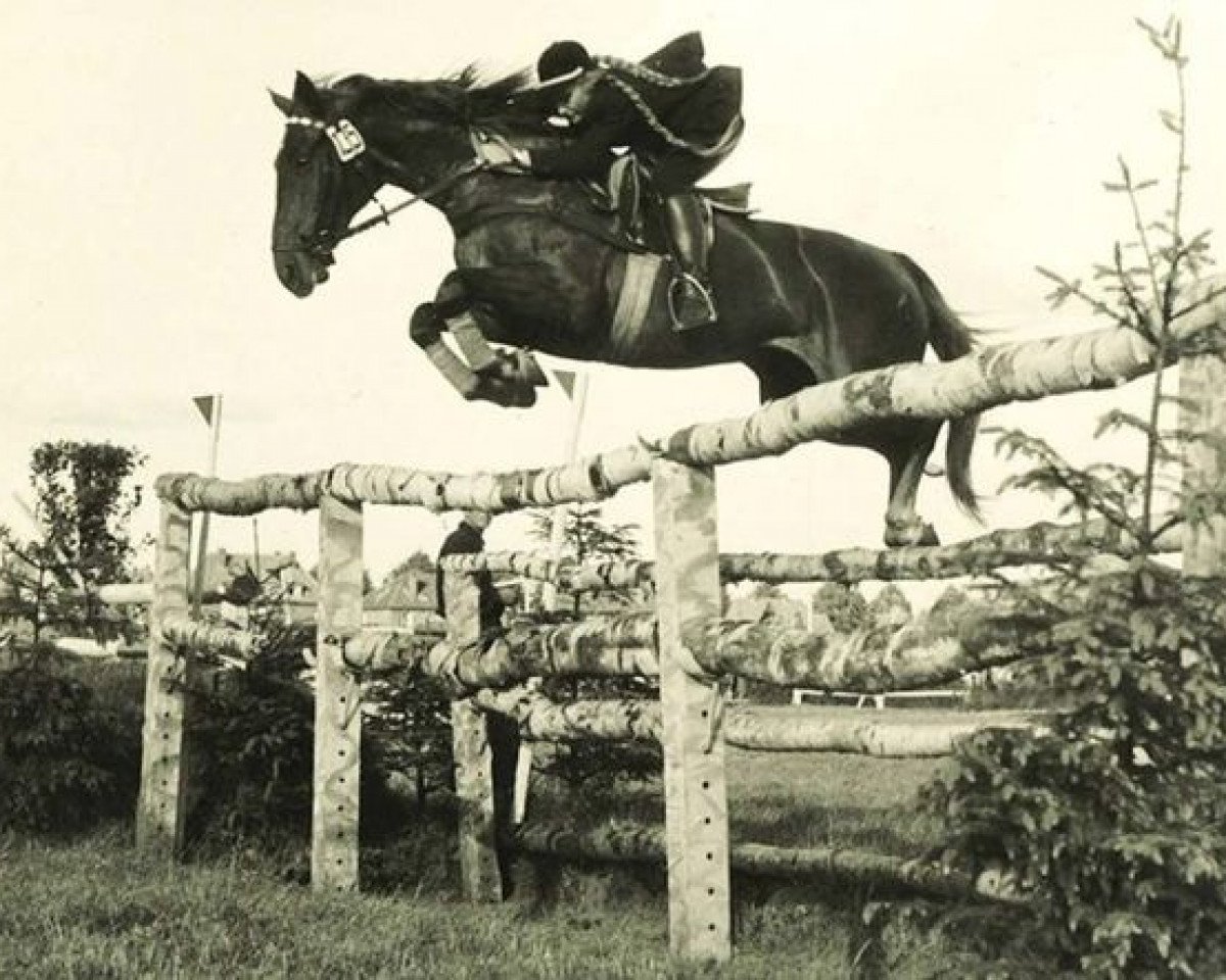 broodmare Libelle (Holsteiner, 1945, from Lobi)
