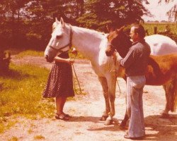 broodmare Akita (Hanoverian, 1963, from Agram)