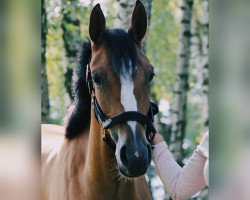 dressage horse Dianala ya Moya (Little German Riding Horse, 2020, from Dating At NRW)