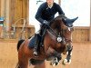 broodmare Curley Sue 47 (German Sport Horse, 2007, from Con Sherry)