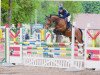 jumper Lilly Likes Looping (Hanoverian, 2009, from Ludwig von Bayern 168 FIN)