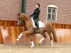 dressage horse Asgard's Floricella (Oldenburg, 2011, from Fürst Fugger)