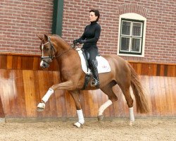 dressage horse Asgard's Floricella (Oldenburg, 2011, from Fürst Fugger)