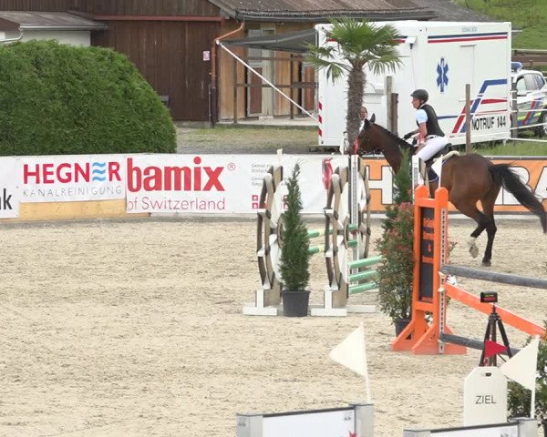 Reitturnier Galgenen 2019