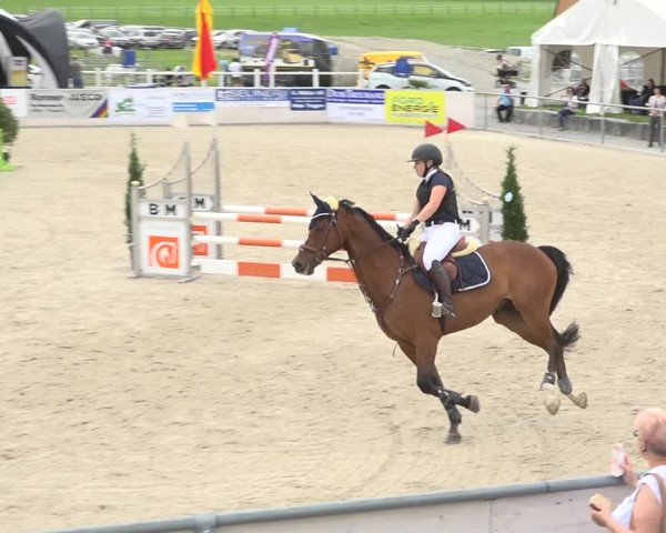 Reitturnier Galgenen 2019