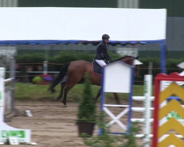 Reitturnier Rantrum 2019