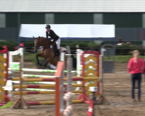 Reitturnier Rantrum 2019