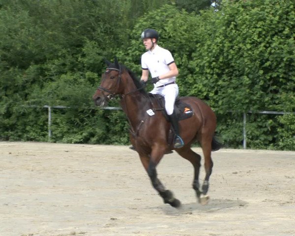 Reitturnier Fröndenberg 2019