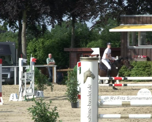 Reitturnier Fröndenberg 2019