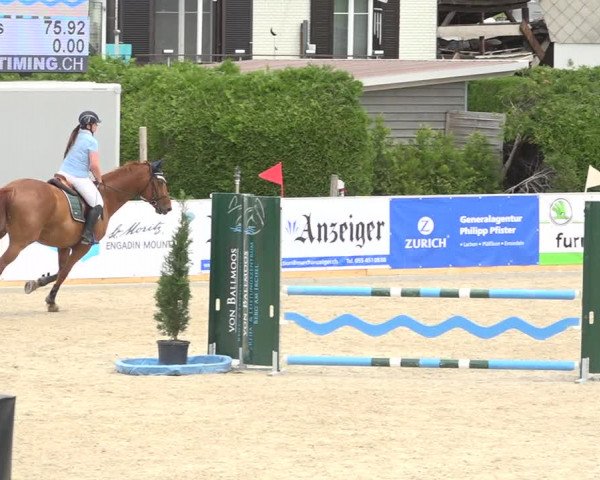 Reitturnier Galgenen 2019