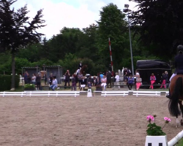 Reitturnier Fröndenberg 2019