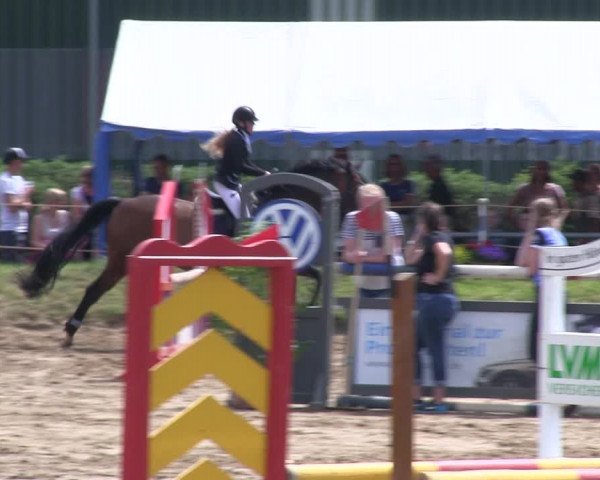Reitturnier Rantrum 2019
