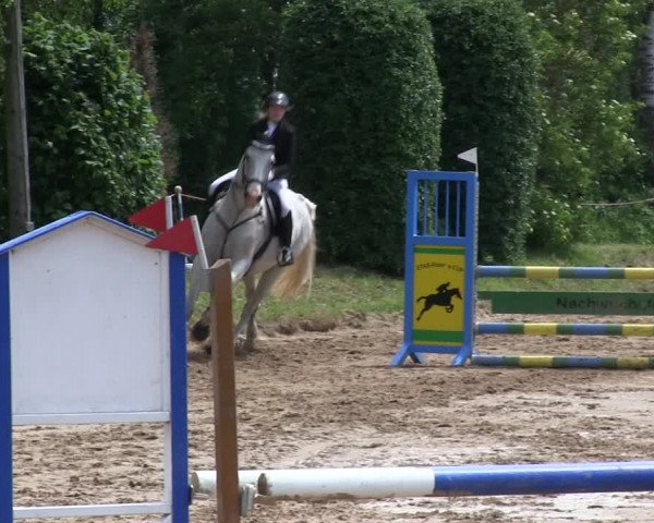 Reitturnier Rantrum 2019