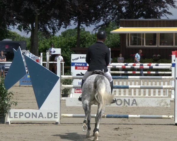 Reitturnier Fröndenberg 2019