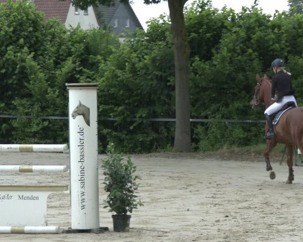Reitturnier Fröndenberg 2019