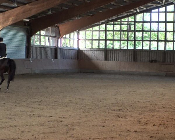 Reitturnier Fröndenberg 2019