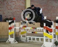 jumper Olympia 123 (Oldenburg show jumper, 2009, from Olympic Fire 5)