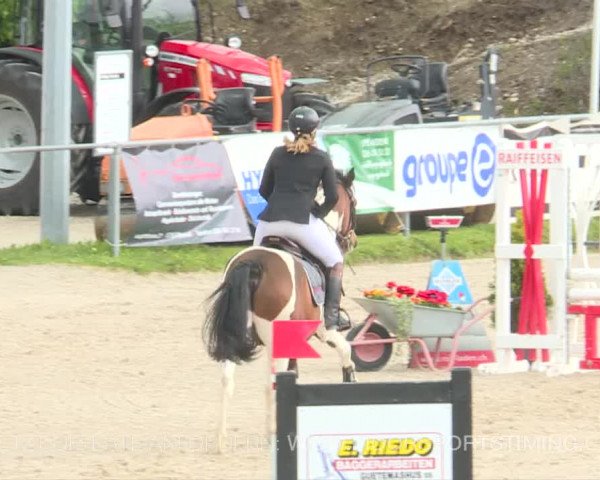 Reitturnier Plaffeien 2019