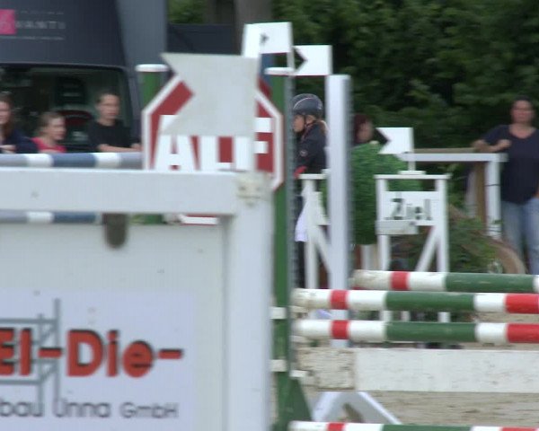 Reitturnier Fröndenberg 2019
