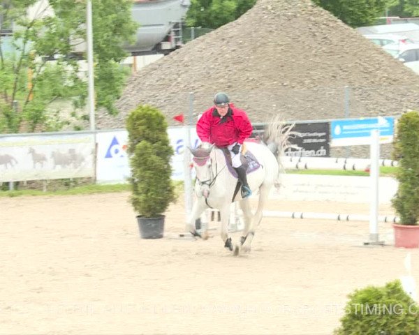 Reitturnier Plaffeien 2019