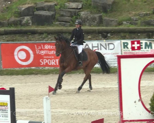 Reitturnier Plaffeien 2019