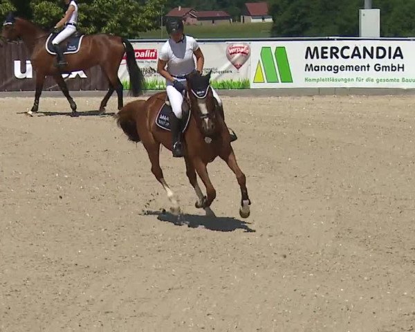 Reitturnier Küps/Ofr. 2019