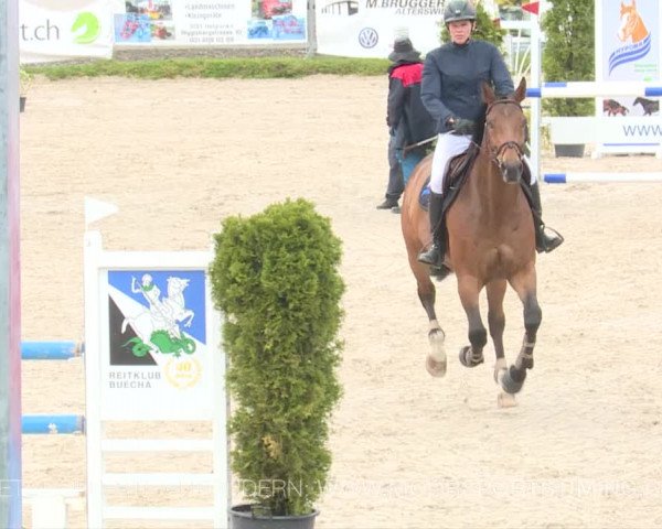 Reitturnier Plaffeien 2019