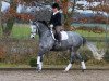 dressage horse Residenz (Trakehner, 2010, from Hibiskus)