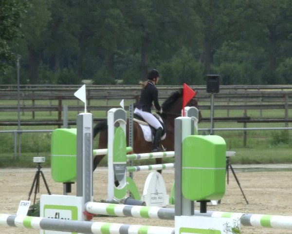 Reitturnier Coesfeld 2019
