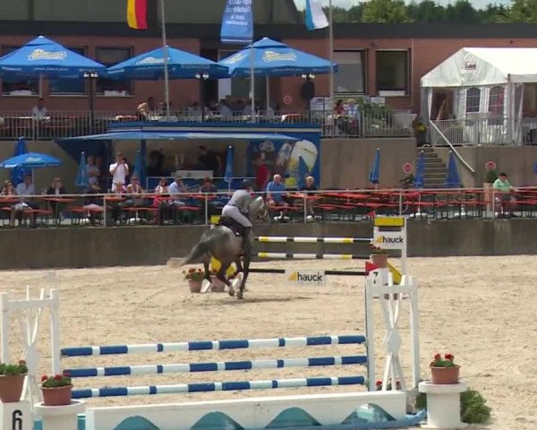 Reitturnier Küps/Ofr. 2019
