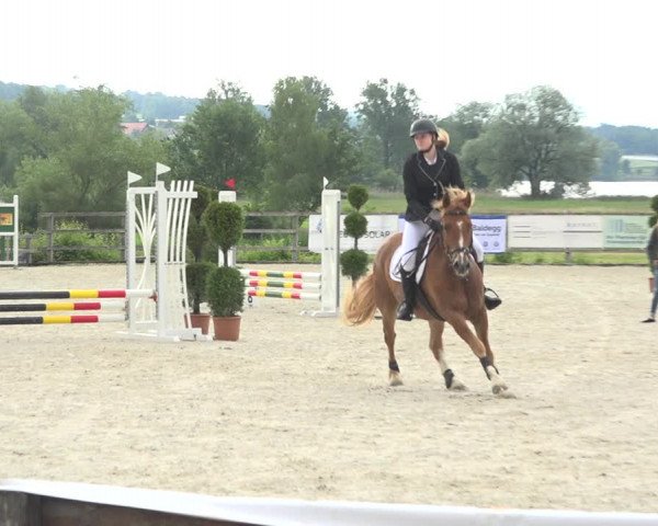 Reitturnier Hitzkirch 2019
