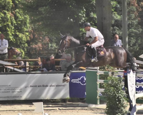 Reitturnier Viernheim 2019