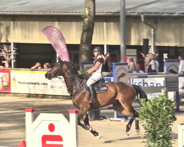 Reitturnier Viernheim 2019
