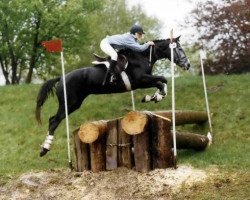 broodmare Vanille (Trakehner, 1983, from Athlet)