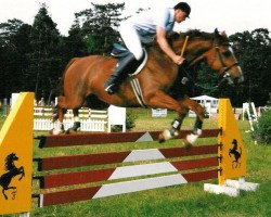 horse Jamur (German Sport Horse, 1990, from Janussek)