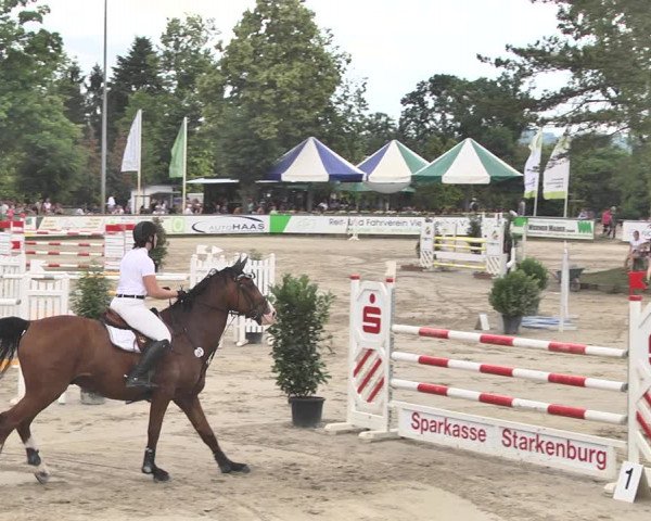 Reitturnier Viernheim 2019