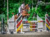 jumper Obora's Golden Boy (Oldenburg show jumper, 2005, from Griseldi)