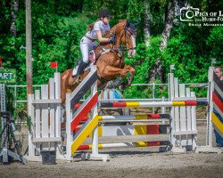 jumper Obora's Golden Boy (Oldenburg show jumper, 2005, from Griseldi)