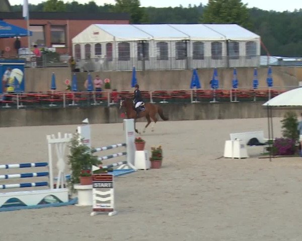 Reitturnier Küps/Ofr. 2019