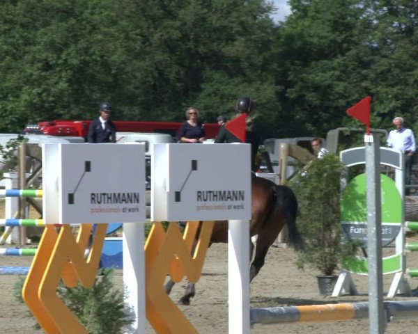 Reitturnier Coesfeld/Lette 2019