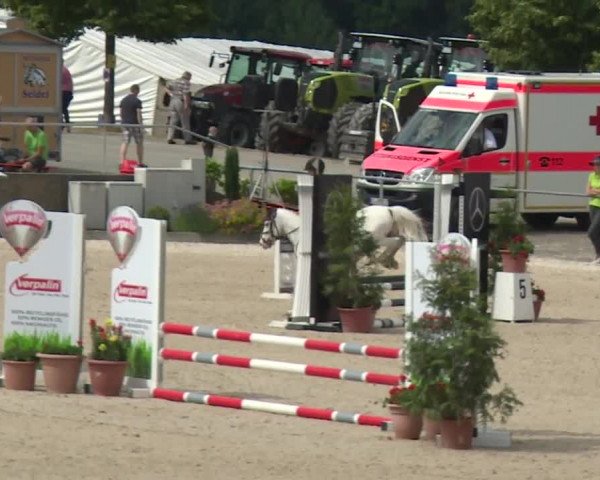 Reitturnier Küps/Ofr. 2019