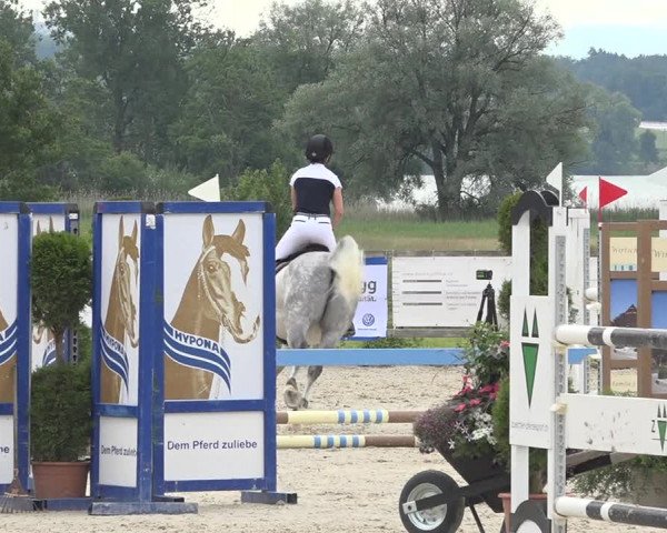 Reitturnier Hitzkirch 2019