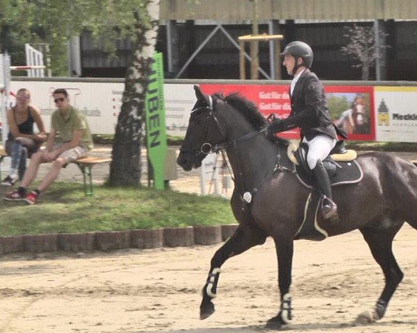 Reitturnier Viernheim 2019