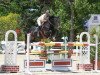 jumper Espinosa (Spanish Sport Horse, 2006, from Darco)