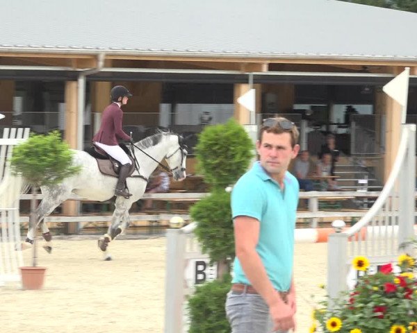 Reitturnier Hitzkirch 2019