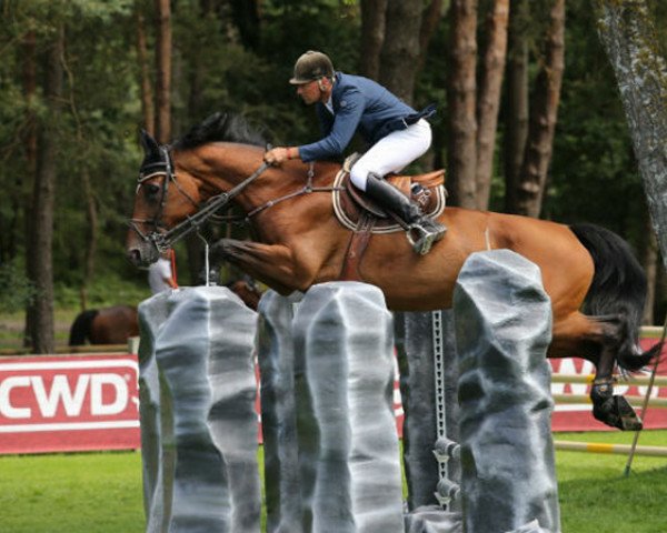 jumper E Laba van de Vinusakker (Belgian Warmblood, 2004, from Toulon)