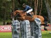 jumper E Laba van de Vinusakker (Belgian Warmblood, 2004, from Toulon)