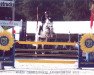 jumper Canevaro (Oldenburg show jumper, 2004, from Cellestial)